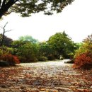 서부공원녹지사업소 화장실 이미지