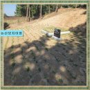 정성장의사