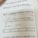 짝때기2