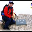 상어동천 이미지