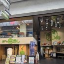 H-045 | ✨ 다카마쓰 회전초밥 추천! 세토노마쓰리 스시 효고마치점 솔직후기