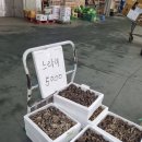 행복한일상 이미지