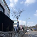 황제(898) 이미지