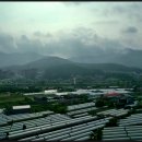 OK365공인중개사사무소 이미지