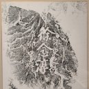 씨유충주교통대대로점 | 61. 오대산 사고를 가다