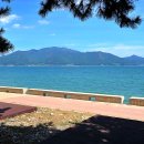 월포해수욕장야영장 이미지