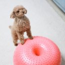 애니타임 이미지