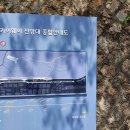 친환경스카이웨이 전망대 이미지