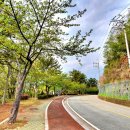 평인일주로 이미지