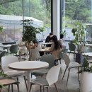 하대야동 | 시흥 소래산 카페 하우앤여우 애견동반 베이커리 카페