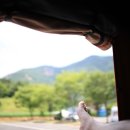 운일암휴게소 이미지