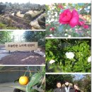 (주)두일 이미지