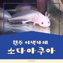 소다아쿠아 | 원주이색카페 태장동 카페 소다아쿠아 방문 후기