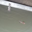 봇또랑낚시터 이미지