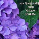금앤옥통나무팬션 네이버블로그