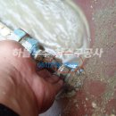 둥근섬로 이미지