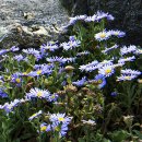 날마다소풍 이미지