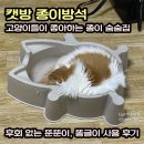 캣방 | 캣방 종이방석 고양이들이 좋아하는 종이 숨숨집. 후회 없는 뚠뚠이, 똥글이 사용 후기