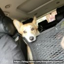 나미컴퍼니 이미지