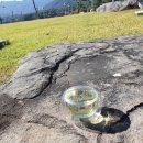 희망의아침 이미지