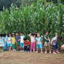 아이소크라테스 유치원 이미지