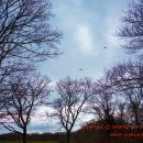 연사랑 목장 이미지