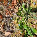 홍의인농장 이미지