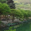 호반 캠핑장 이미지