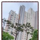 대구시(매곡리) 네이버블로그