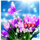 🌸우수(雨水)날 아침! 당신의 봄날을 축복합니다🌸 이미지