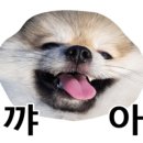 인천누비