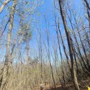 금계노모당 | [걷기] 지리산둘레길 4구간( 금계-동강)