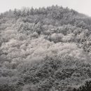 모두와 하루(무장애 여행) 이미지