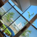 배방식당 이미지