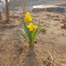 나훔펜션 | 세종시펜션 조용하니 가족나들이하기 좋네요