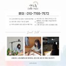동영유치원 | [대구 샌드아트] 동영 유치원 환경 교육 샌드아트 공연