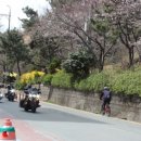 월남천 이미지