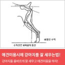 에스디애견미용학원