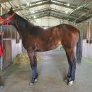 디케이팜 이미지