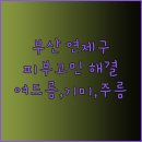 메이준피부과의원 이미지