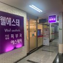 웰에스테의원 티스토리