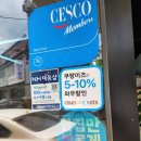 피자런 이미지