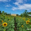 평택시 농업생태원 방문자센터 이미지