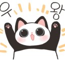 아름미듬약국 이미지