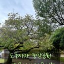 중앙 태권도 체육관 | 도쿠시마 자유여행 볼거리 [도쿠시마중앙공원 jupiter]