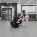 신사유도클럽 이미지