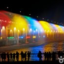 망고 스테이 이미지