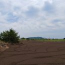 상모리-7 이미지