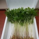 산골짜기농장 이미지