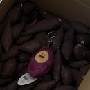 뽑기플러팅 이미지